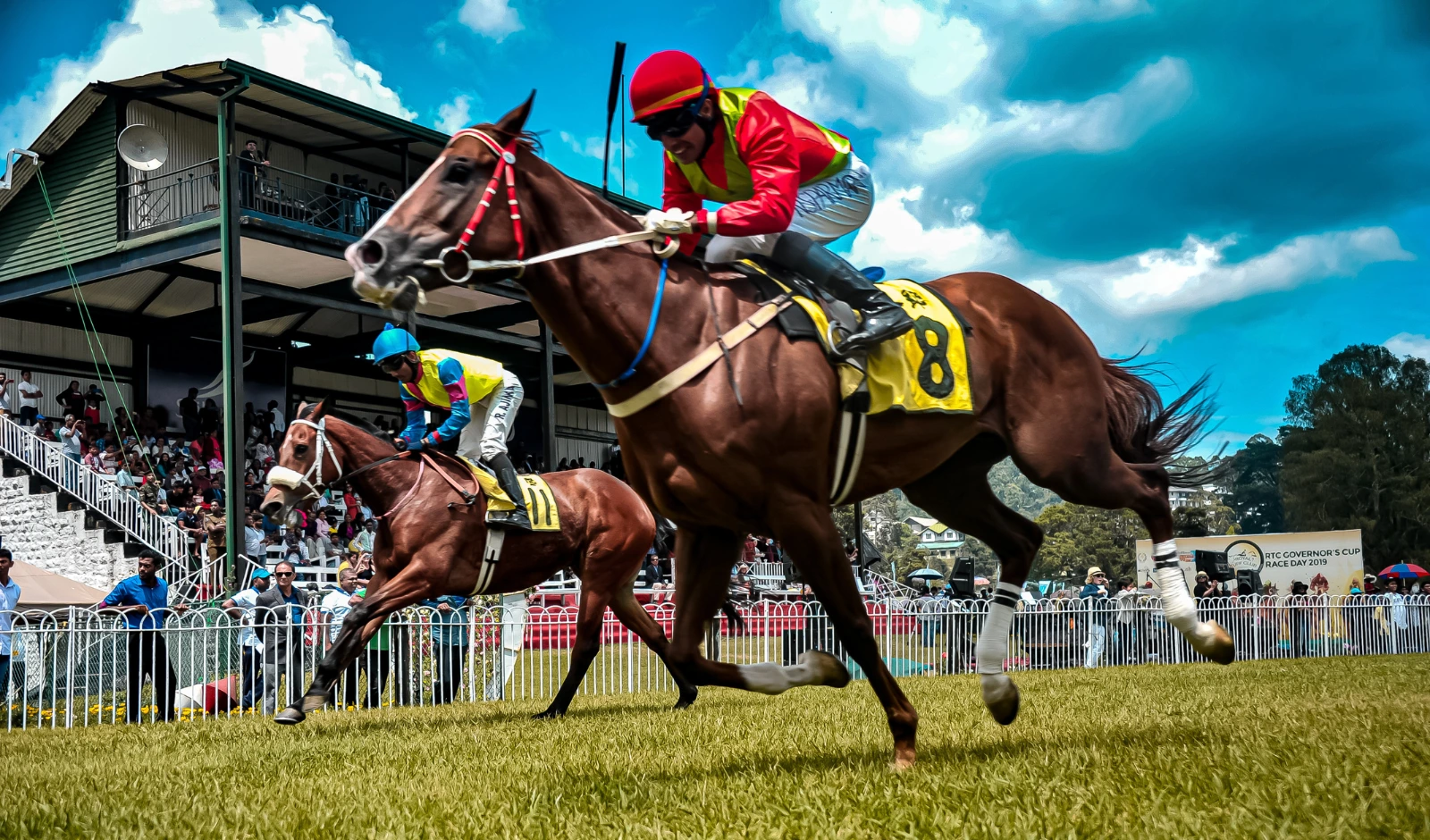 Enjoy Online Horse Racing Betting in Singapore with trusted online betting sites today.